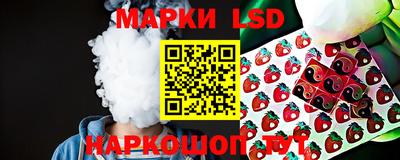 стаф Моздок