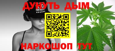 стаф Моздок