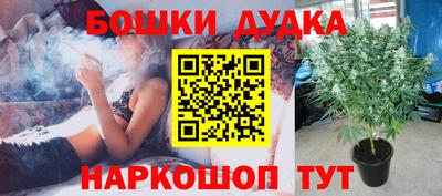 ПСИЛОЦИБИНОВЫЕ ГРИБЫ Можайск