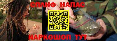 стаф Моздок