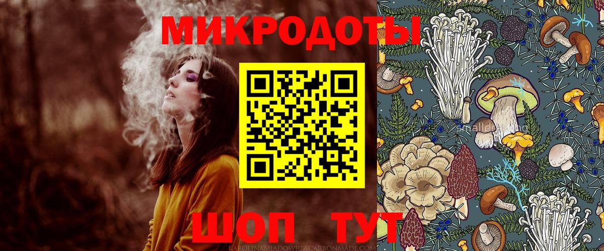 Галлюциногенные грибы Psilocybe Черняховск