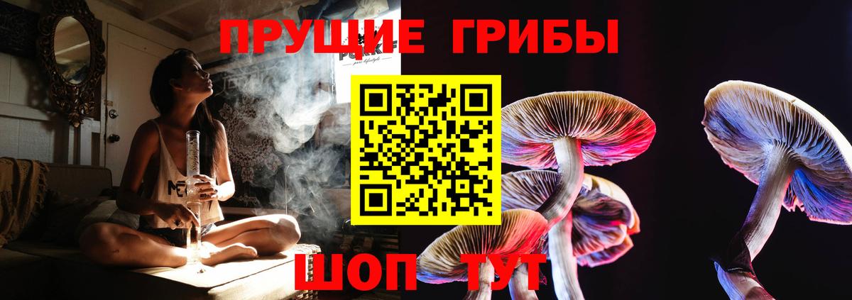 Черняховск  Псилоцибиновые грибы ЛСД  Галлюциногенные грибы прущие грибы  Вход с VPN 